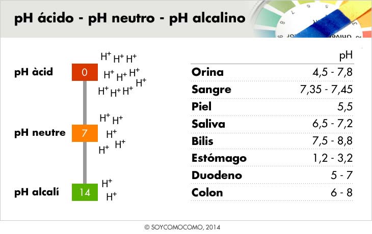 Dieta alcalina, la escala de Ph. Ph ácido, ph neutro, ph alcalino