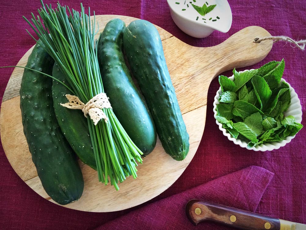 Ingredientes mousse de pepino y menta