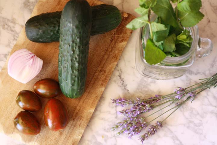 Pepino, tomates y cebolla