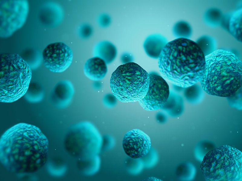 Problemas con virus y bacterias microbiota