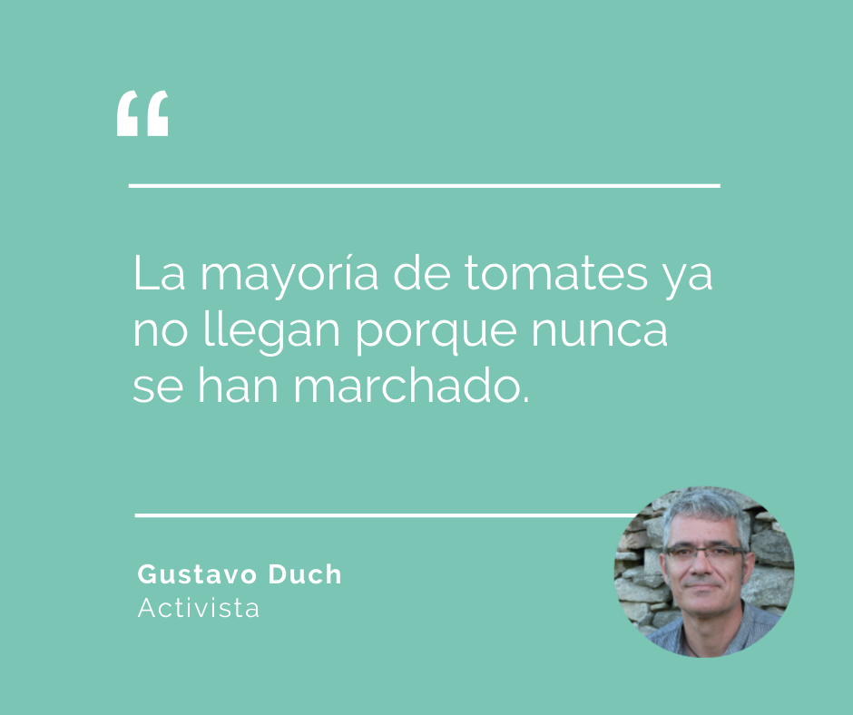 tomates de temporada