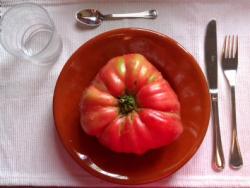 ¿Los tomates, mejor con piel o sin piel?