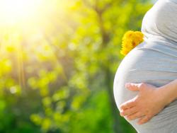 Un embarazo sin carencias nutricionales