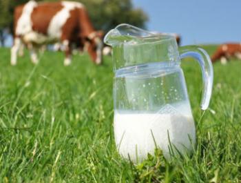 Lácteos: un hábito más que una necesidad