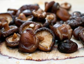 Hongos medicinales. Shiitake, maitake y reishi: prevención y apoyo al tratamiento del cáncer